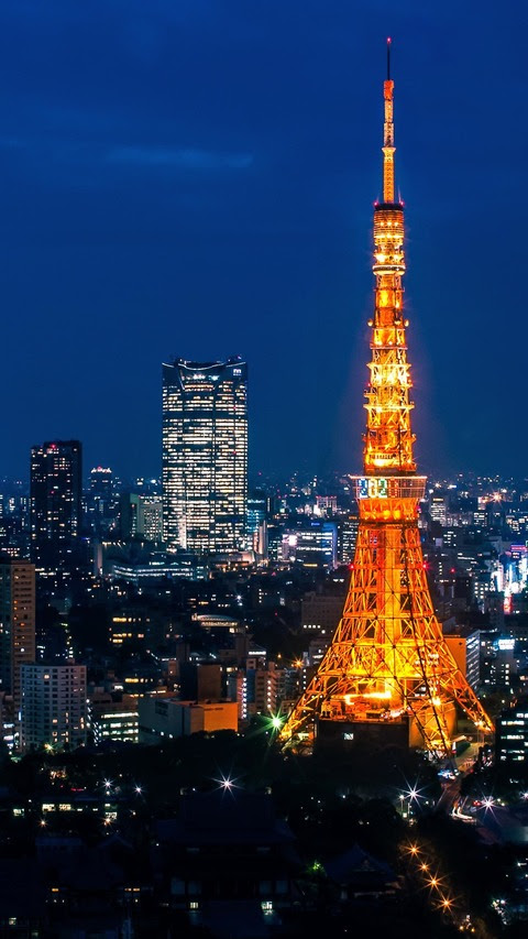 ディズニー画像ランド 最高夜景 壁紙 高画質