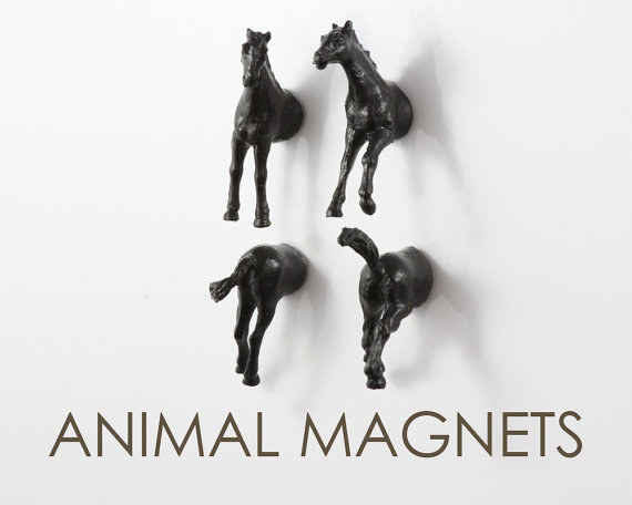 These stallion head and butt magnets.