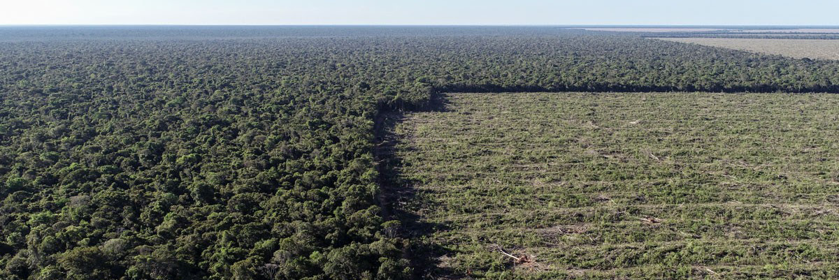 19-06-2019-terras-amazonia-foto-divulgacao-ibama.jpg