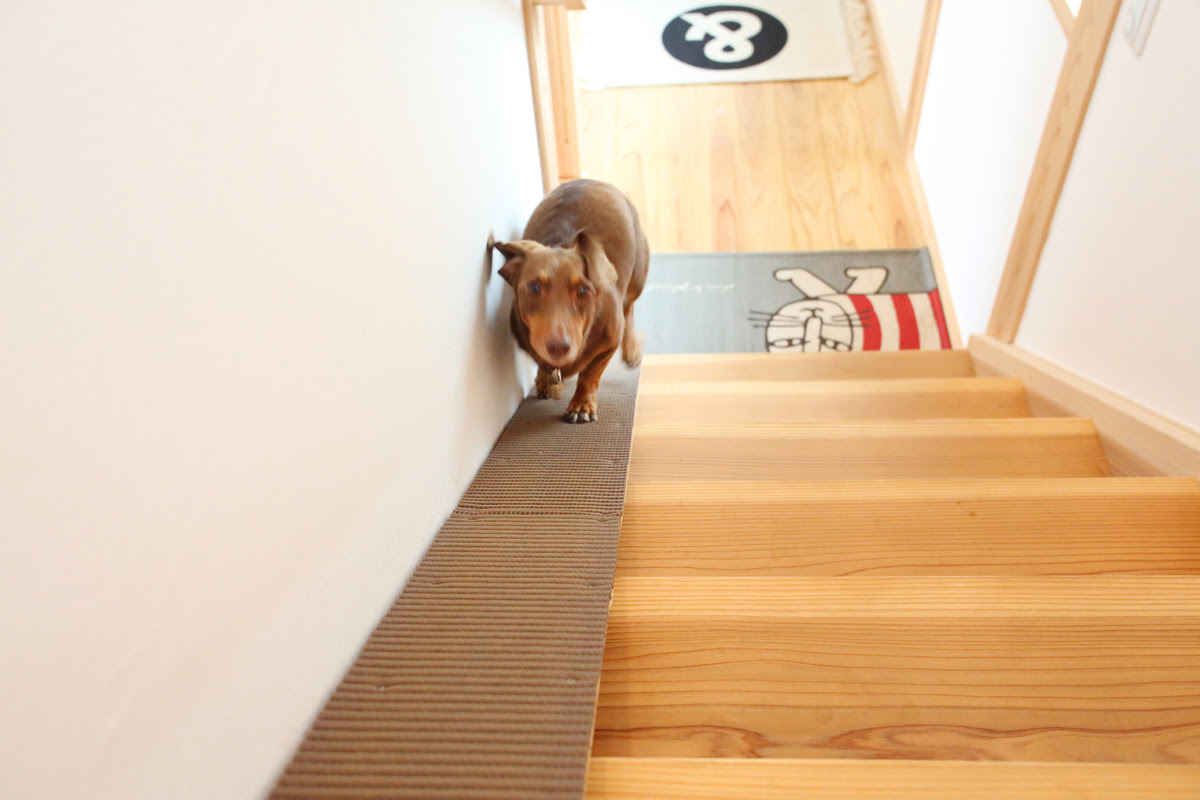 犬 スロープ Diy コレクション イメージ ベスト