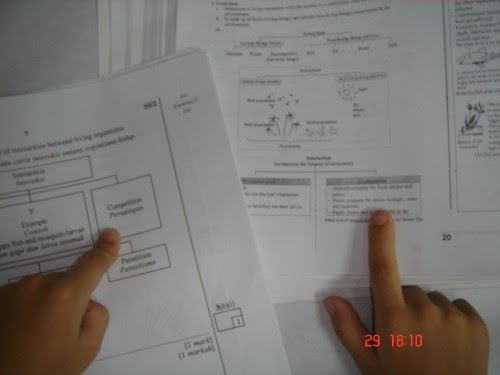 Contoh Soalan Pt3 Kemahiran Hidup Perdagangan Dan 