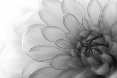 無料印刷可能花 モノクロ 最高の花の画像