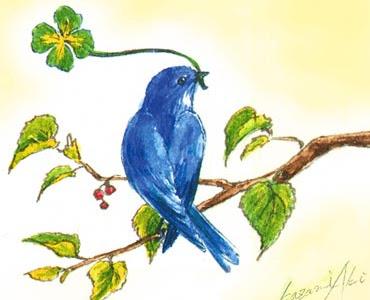 [最も選択された] きれい 青い鳥 イラスト 綺麗 373561-きれい 青い鳥 イラスト 綺麗