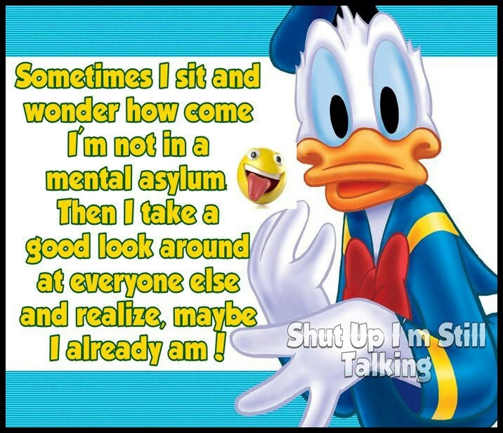 Image result for IMAGES OF DAFFY DUCK GONE MENTAL