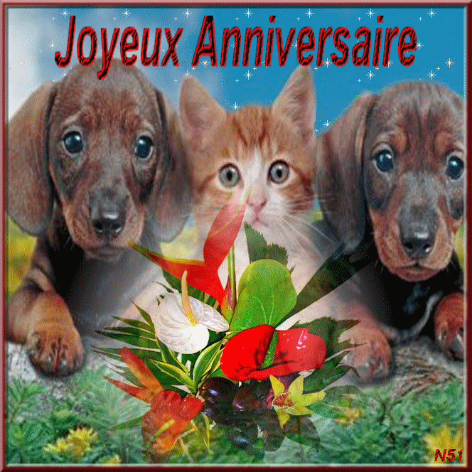 Inspiration Gif Anniversaire Chien Abdofolio