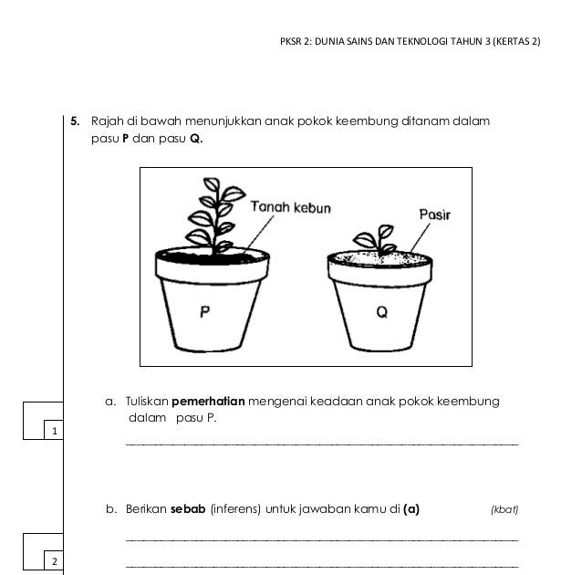 Soalan Sains Tahun 5 Dan Skema Jawapan - Contoh Yuk