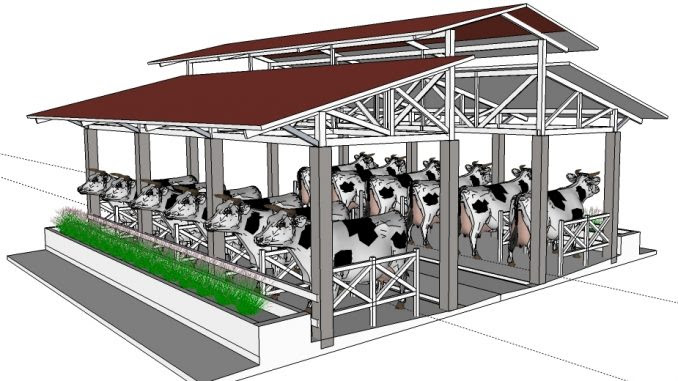 1) konstruksi dan letak kandang konstruksi kandang sapi seperti rumah kayu. Managemen Kandang Sapi Yang Tepat Ternak Sehat Fkh Ugm Ac Id