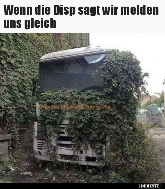 Wir Haben Geheiratet Lustige Sprüche : Mögen täten wir ...