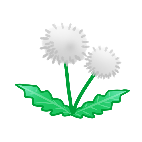動物画像のすべて トップ100 たんぽぽ 綿毛 イラスト