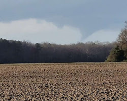 Delaware tornado outbreak leaves at least 1 dead, dozens injured