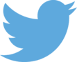 twitter logo