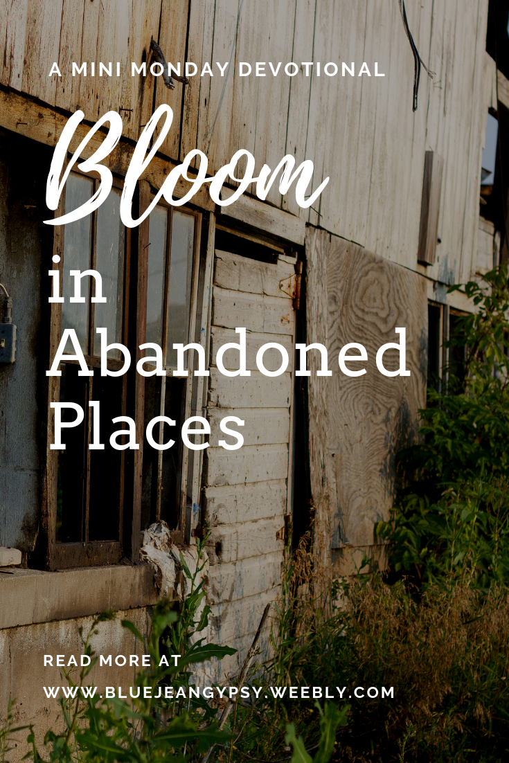 Here are the tales of 10 abandoned places and how they came to be deserted. Life Hope Faith Wandering From Wilderness To Promis Blue Jean Gypsy
