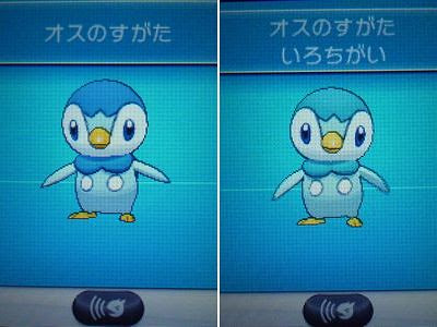 かわいいディズニー画像 ロイヤリティフリーポケモン ポッチャマ 色 違い