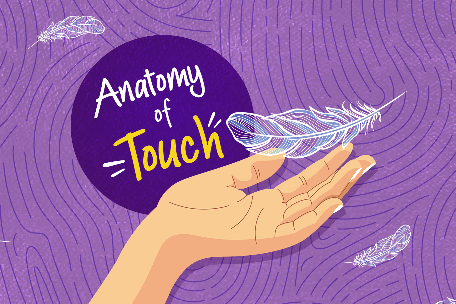A graphic illustration of a hand catching a feather. The text 'Anatomy of Touch' is in a circle in the background.