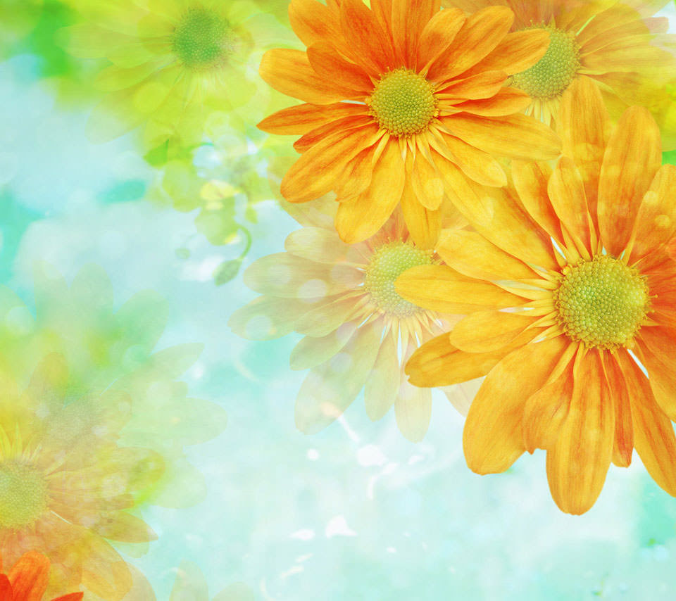 すべての美しい花の画像 これまでで最高の花 スマホ 壁紙