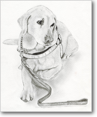 最高かつ最も包括的な犬 イラスト リアル 書き方 全イラスト集