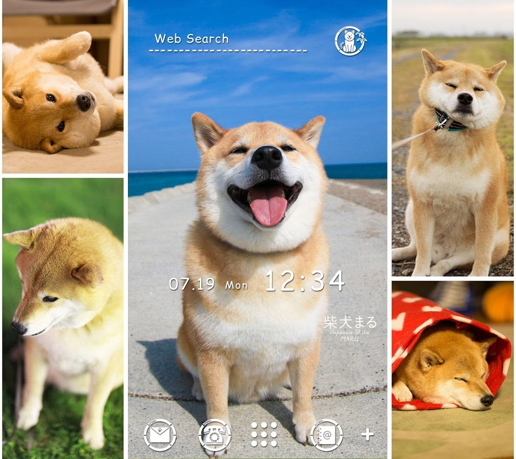 すべての美しい花の画像 75 Iphone 柴犬 まる 壁紙
