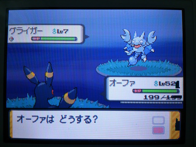 インスピレーション ポケモン プラチナ グライガー 100 で最高の画像