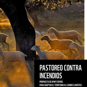Informe sobre incendios forestales 2022: Pastoreo contra incendios | WWF España
