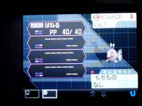 最も人気のある ポケモン ブラック 交換 1565 ポケモン ブラック 交換 いつから