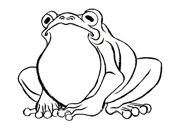 これまでで最高のカエル イラスト かわいい 書き方 ディズニー画像のすべて