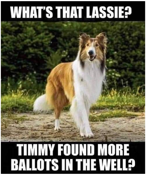 Lassie meme. Ballots are found in the well.