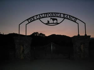 Birchlane.com has been visited by 100k+ users in the past month Ideas For Custom Metal Ranch Entrance Gates