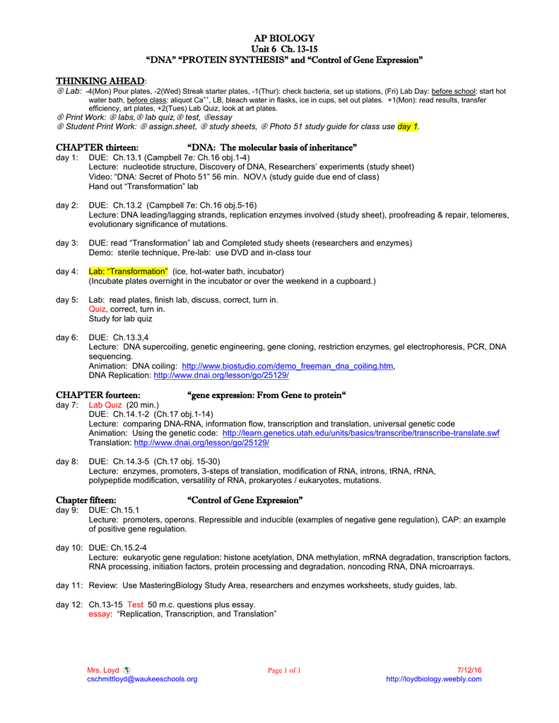 Rna And Protein Synthesis Gizmo Worksheet Answers Promotiontablecovers