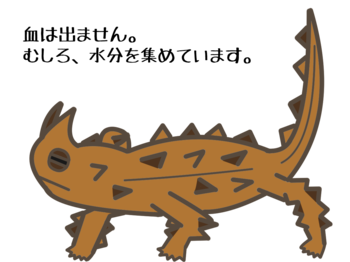 70以上 トカゲ イラスト トカゲ イラスト リアル Workjpgazo