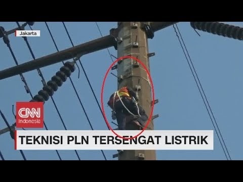 Teknisi PLN Tersengat Listrik di Ketinggian Meter - Jual ...
