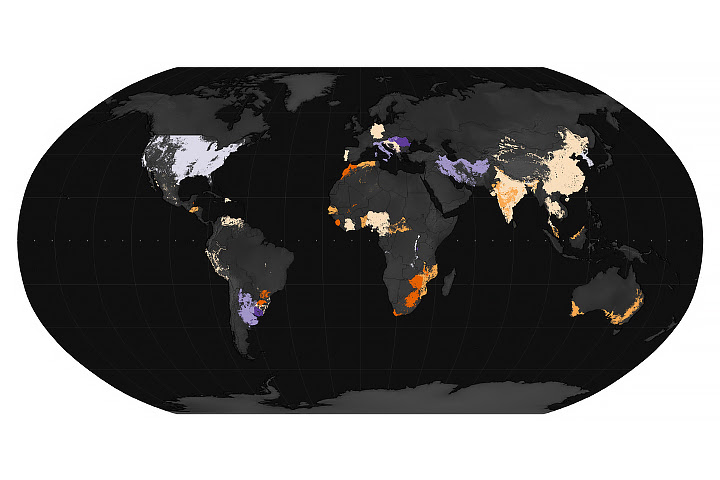 El Niño Forecast to Contribute to Food Insecurity