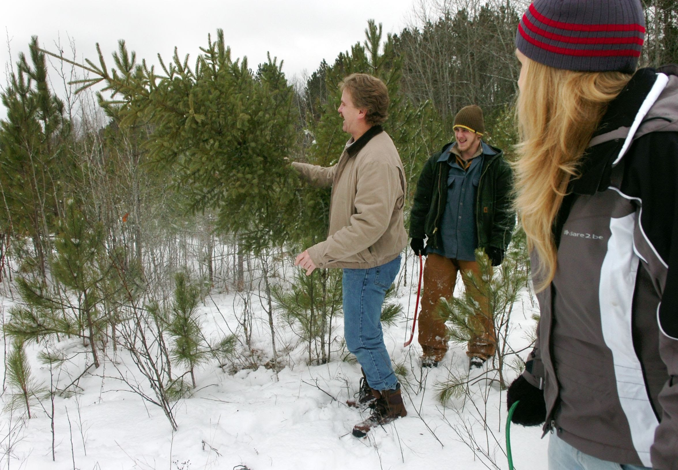 Maybe you would like to learn more about one of these? 5 U Cut Christmas Trees In Michigan Where To Get Your Permit Mlive Com