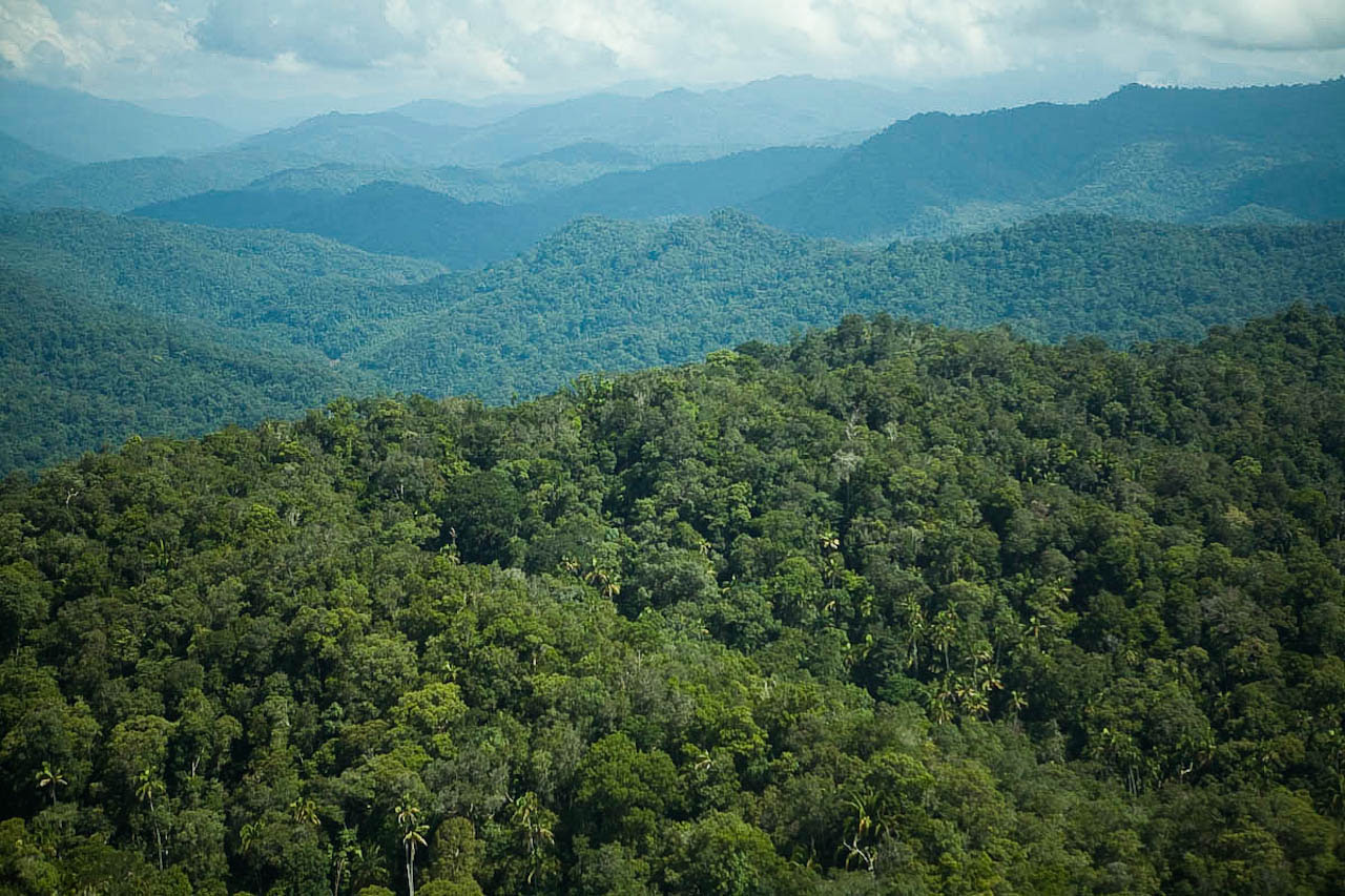 Borneo Valida