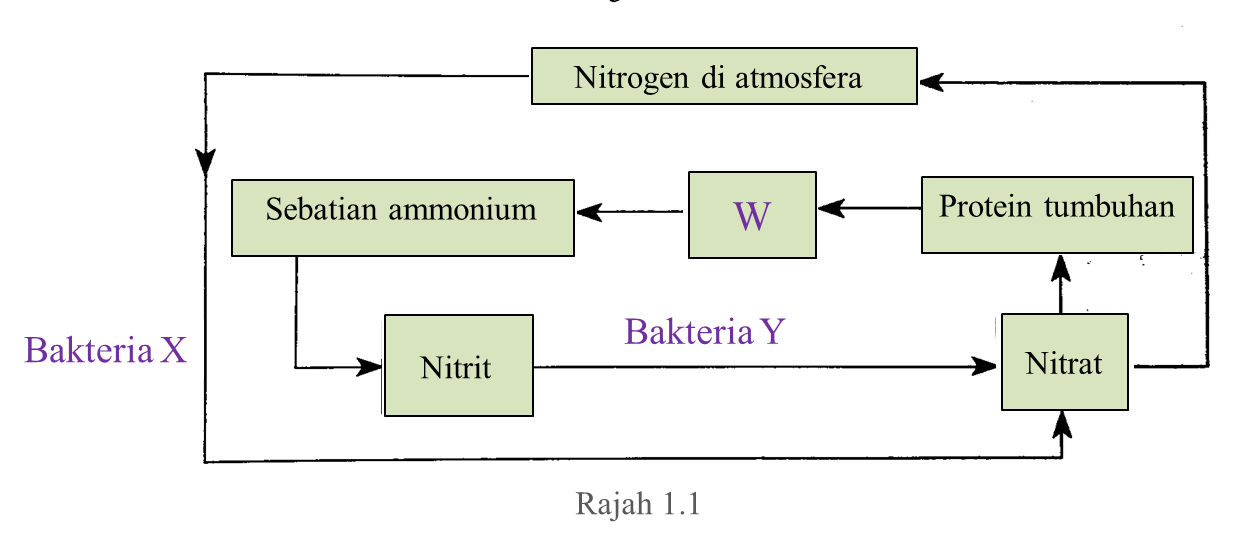 Soalan Dan Jawapan Matematik Tambahan Tingkatan 4 Akhir 