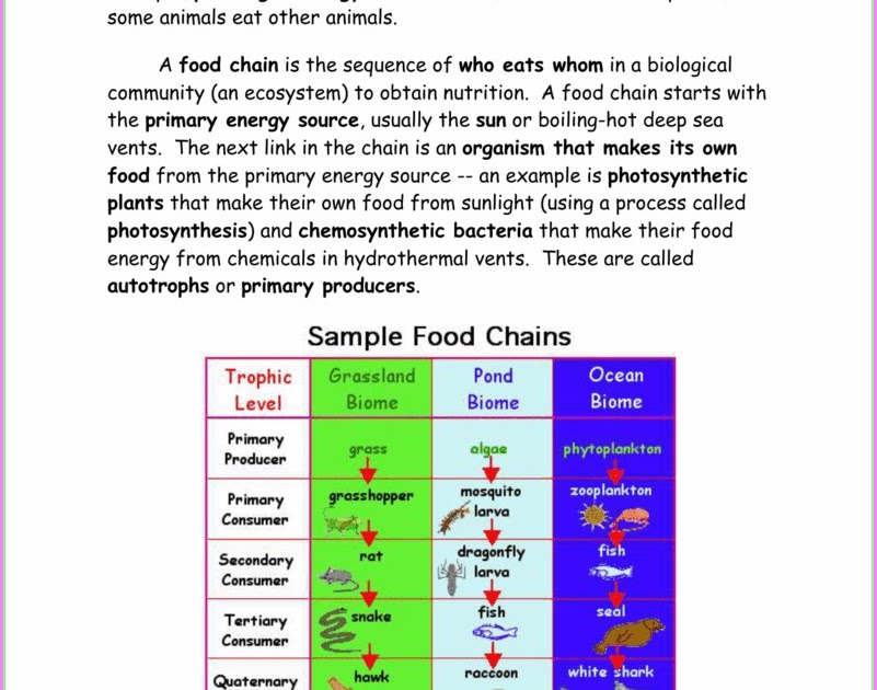 Natural Selection Gizmo Answer Key Quizlet - 30 Darwin Natural Selection Worksheet | Education ...