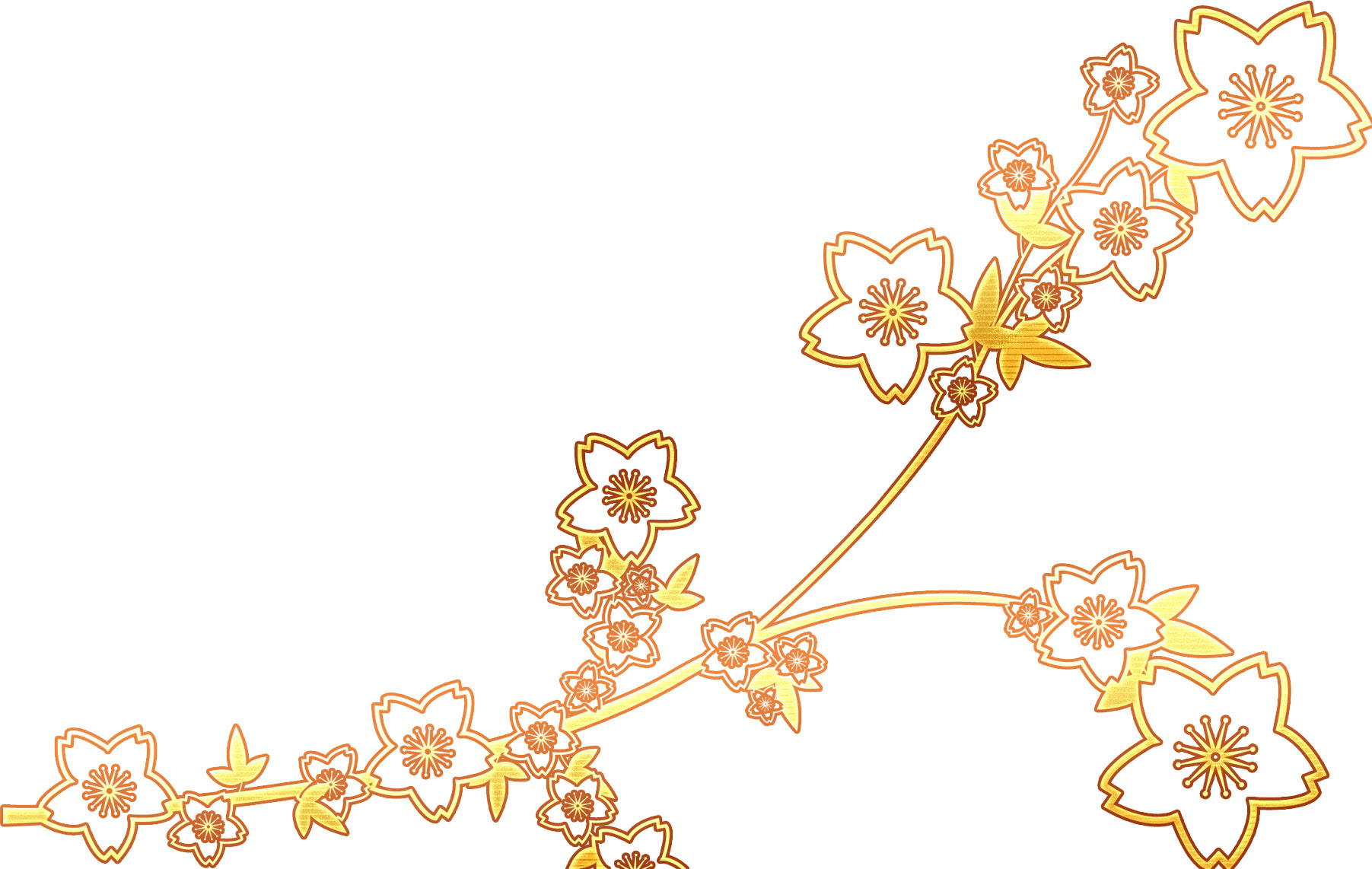 Ngagolak 桜 イラスト 和風