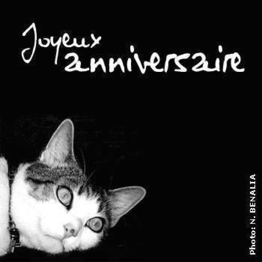 Carte Joyeux Anniversaire L Internaute Nanaryuliaortega Web