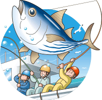 すべての動物の画像 上カツオ イラスト 魚