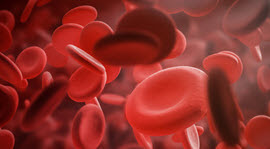 blood cells