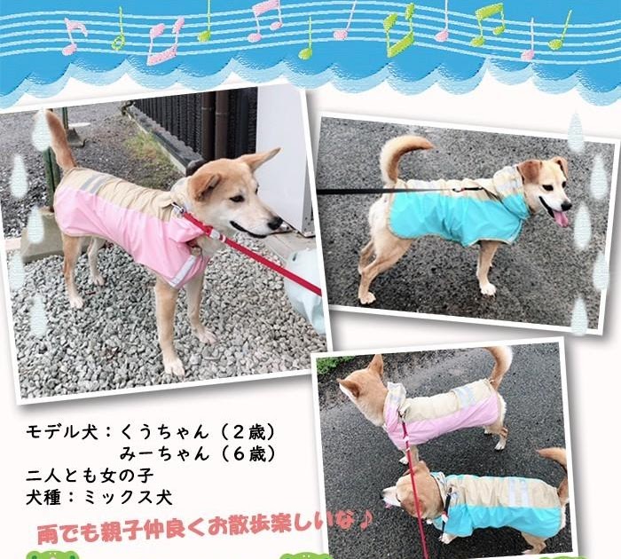 犬 レインコート 作り方 ゴミ袋 1033 犬 レインコート 作り方 ゴミ袋 アニメ画像ジョーク