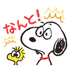 Imagemey