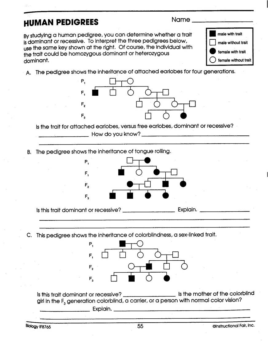 An arrangement of all the chromosomes of a diploid call is called a (n) _______. Mechel Golenberke My First Website Chapter 14 1 14 2 Menu Home Home Page Science Literacy Back Science Literacy Science Literacy Reading In Science Resources Writing In Science Resources Reading In The Content Area Science Latin Greek