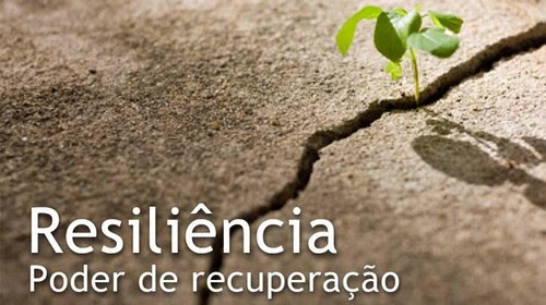 Resultado de imagem para resiliência frases