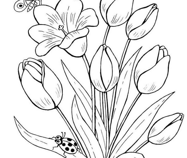 20 Trend Terbaru Sketsa  Gambar  Flora  Bunga The Toosh