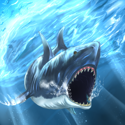 最も共有された サメ リアル 魚 イラスト かっこいい