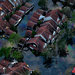 An aerial view of a downtown New Orleans neighborhood that was still submerged three days after Hurricane Katrina struck on Aug. 29, 2005.