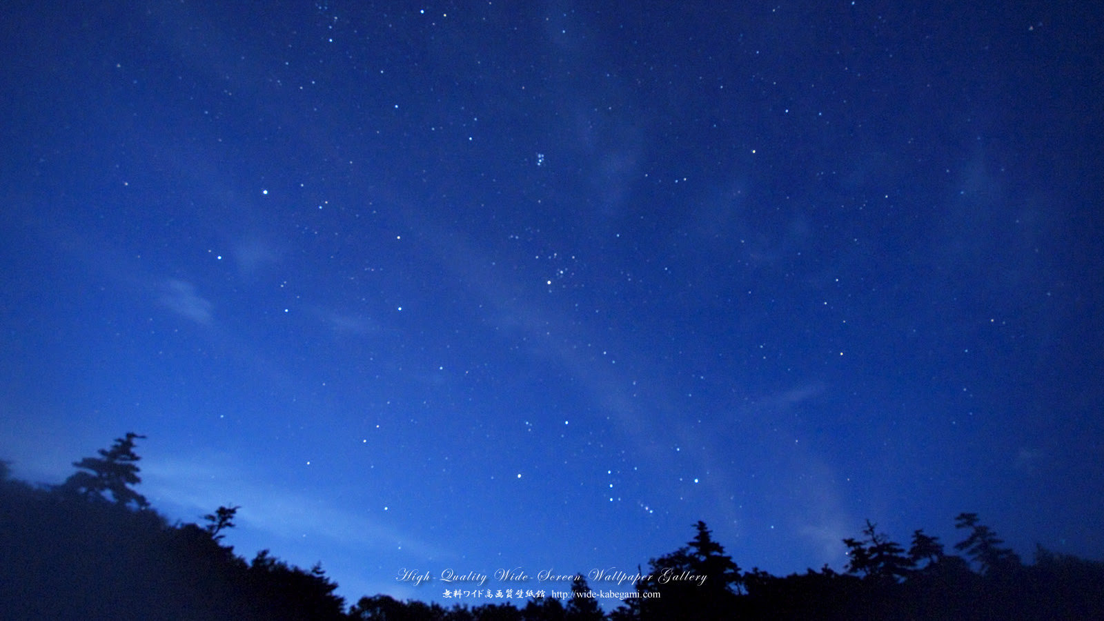 トップ100デスクトップ 壁紙 星空 高画質 フリー すべての美しい花の画像