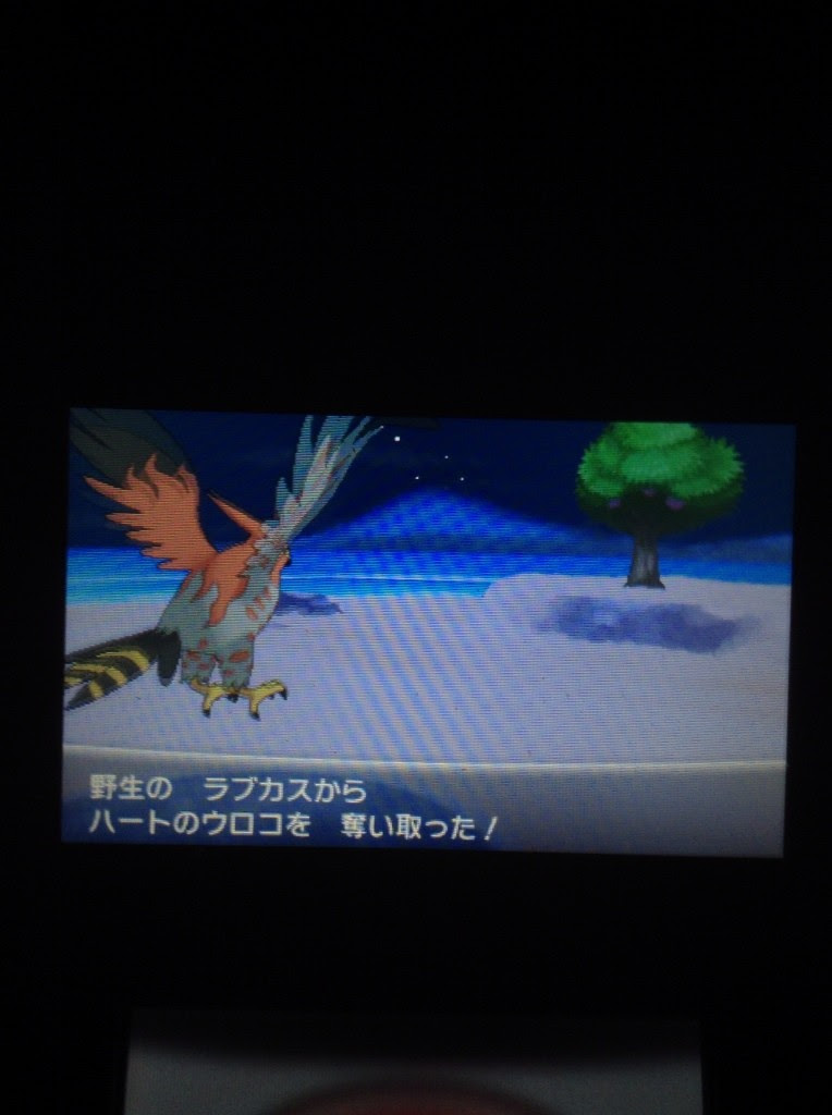 画像をダウンロード サンムーン ラブカス ポケモンの壁紙