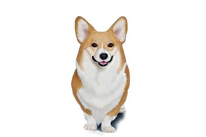 最新 犬 背景透過 犬 絵文字 背景透過 Jpirasutosu5qmd