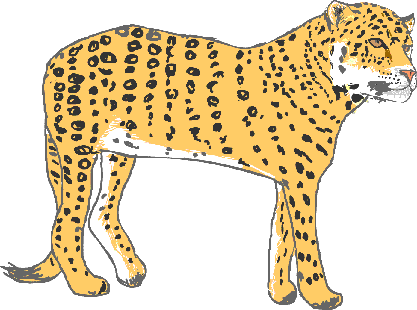 無料ダウンロード ユキヒョウ イラスト ユキヒョウ 柄 イラスト